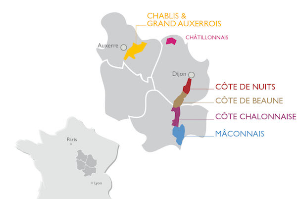 Crédit : Bureau Interprofessionel des Vins de Bourgogne