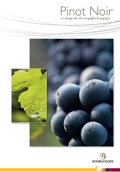 Crédit : Bureau interprofessionnel des vins de Bourgogne